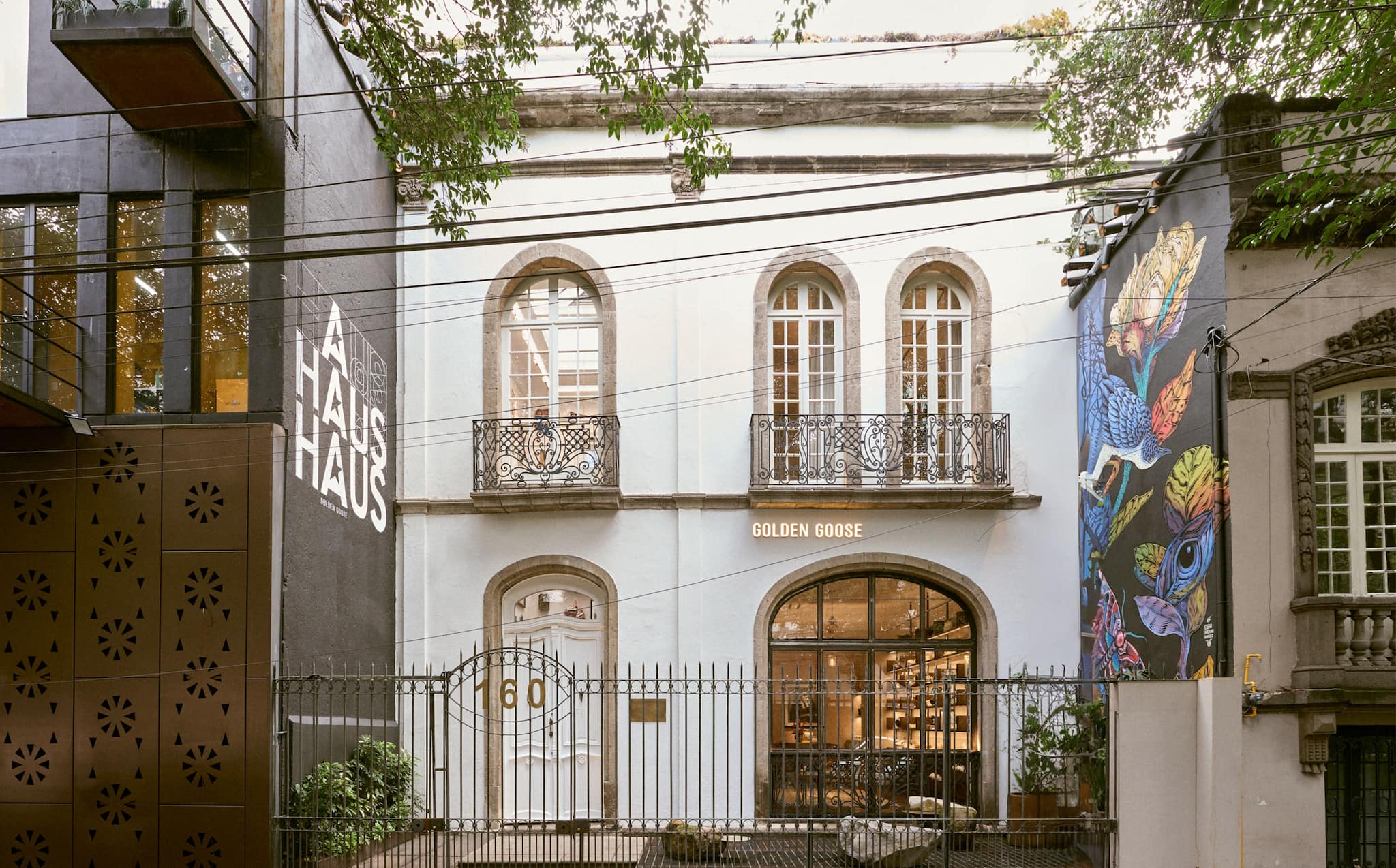 front-view-of-Haus-mexico