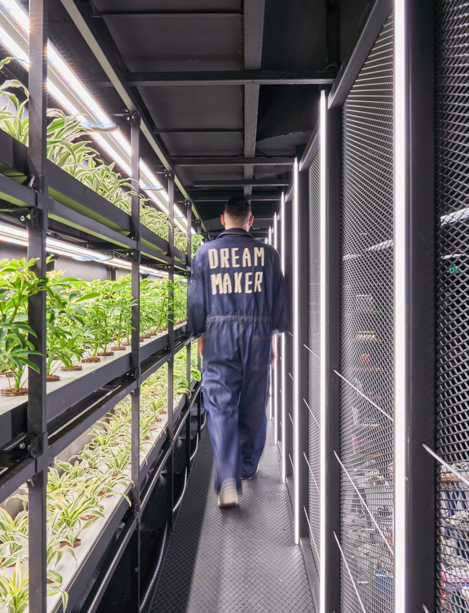 Das Engagement von Golden Goose für die Nachhaltigkeit Das Engagement von Golden Goose für die Nachhaltigkeit