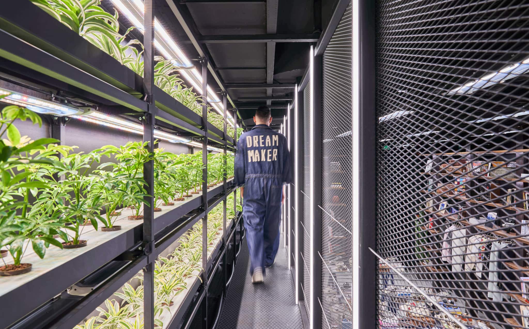 Sustainable-pair-of-sneakers-on-top-of-a-table-with-plants-around-it