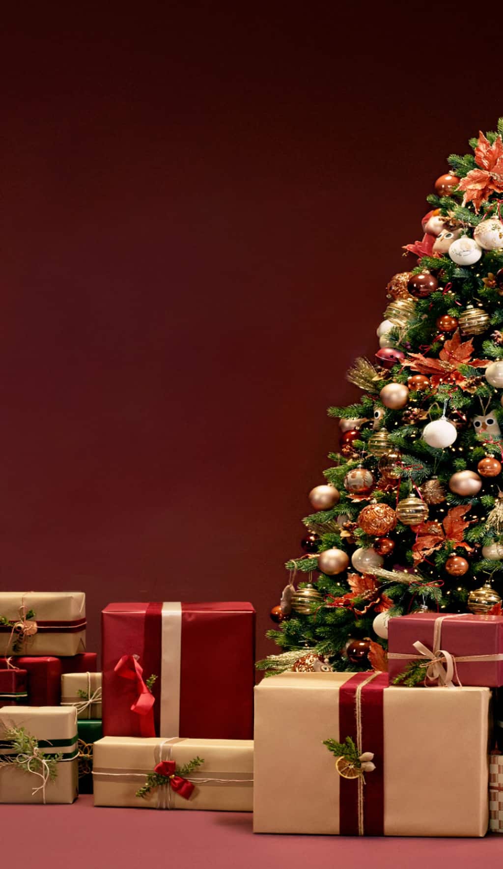 backgroud-bordeaux-with-christmas-tree-and-gifts