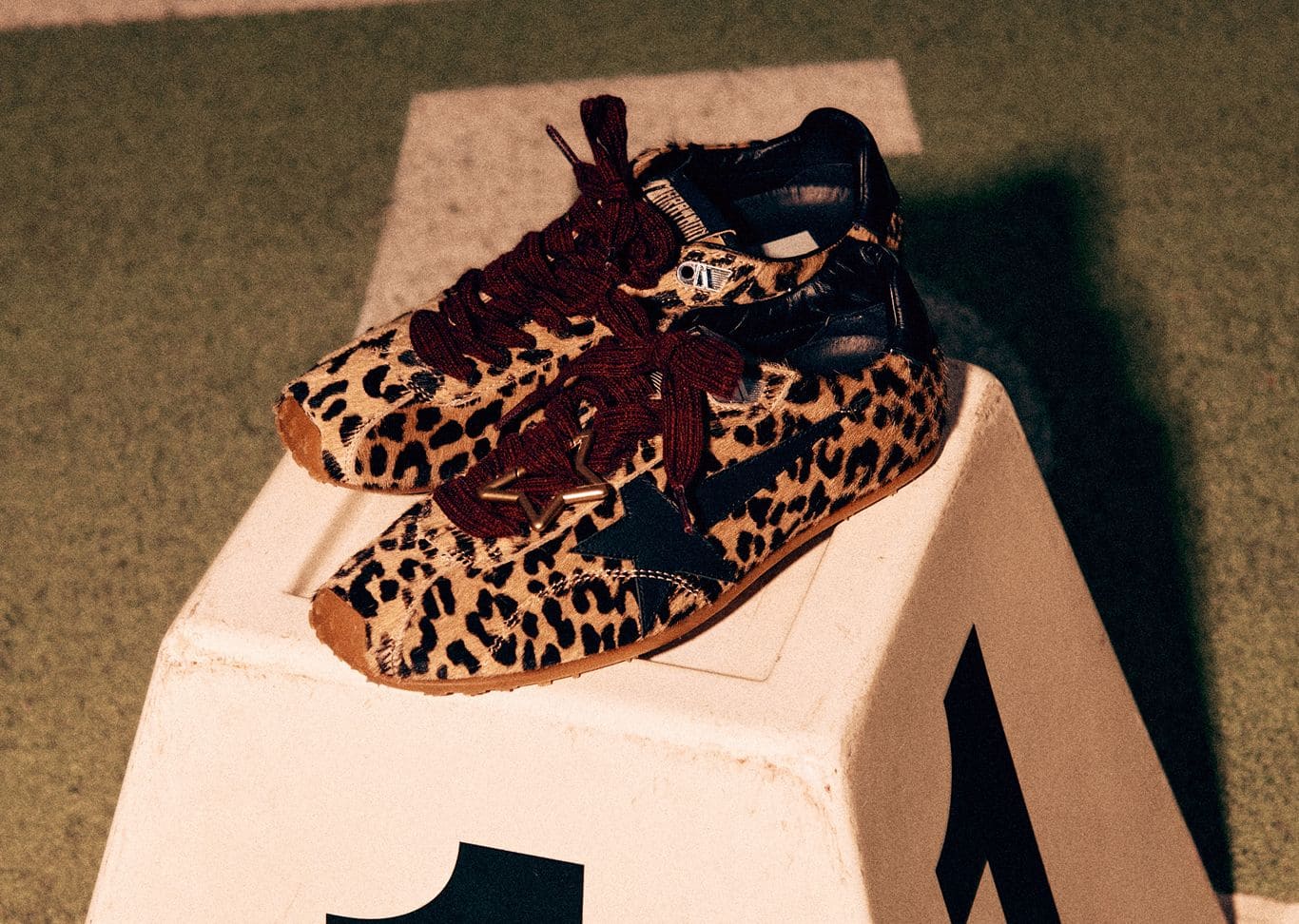 leo-co-created-marathon-speed