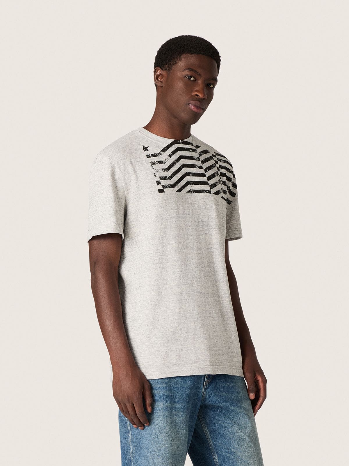 Golden Goose - T-shirt unisexe en jersey gris chin&eacute; avec imprim&eacute; drapeau in 